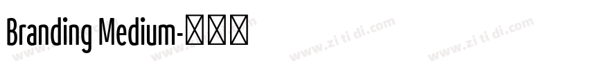 Branding Medium字体转换